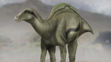 Reconstrucción del dinosaurio `Morelladon beltrani´ descubierto en Morella