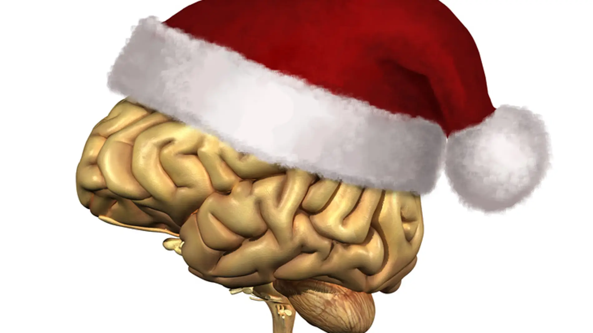 Cerebro con un gorro de Navidad