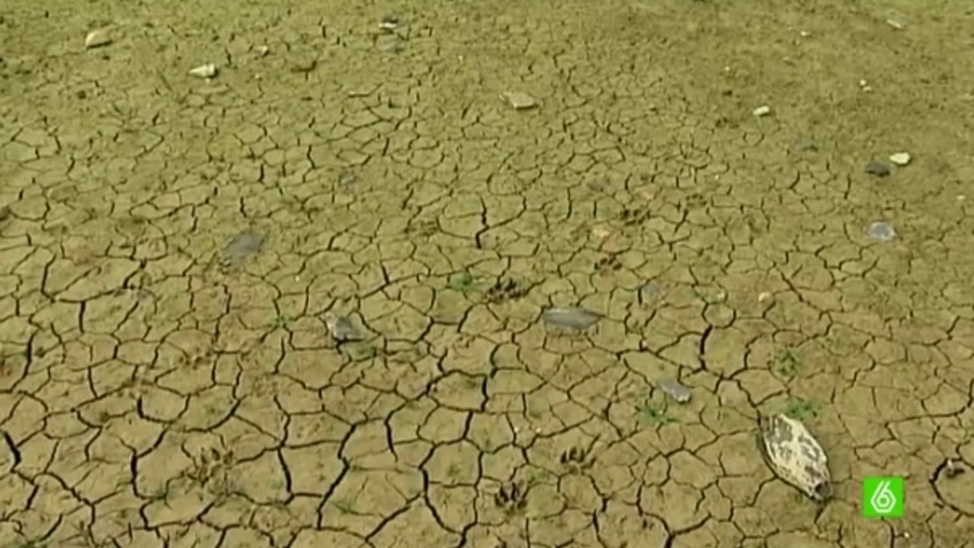 Sequía en los embalses de agua por falta de lluvias