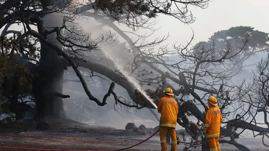 Los bomberos intentan extinguir el incendio de Australia Los bomberos intentan extinguir el incendio de Australia