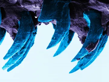 Este es el material más fuerte Este es el material más fuerte