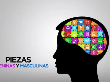El cerebro de los hombres tiene un lado femenino El cerebro de los hombres tiene un lado femenino