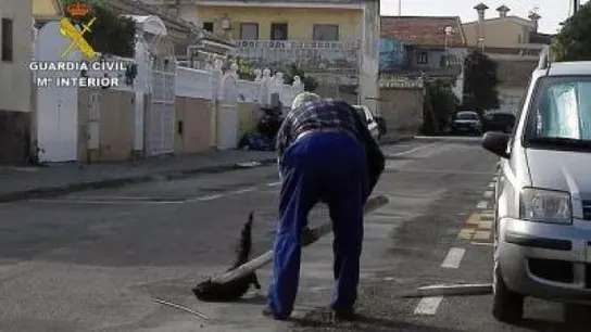Un anciano mata a golpes a un gato en Murcia Un anciano mata a golpes a un gato en Murcia