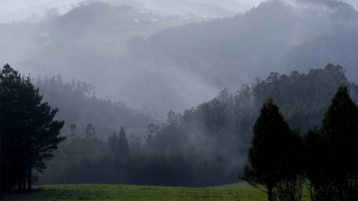 Incendio en Asturias