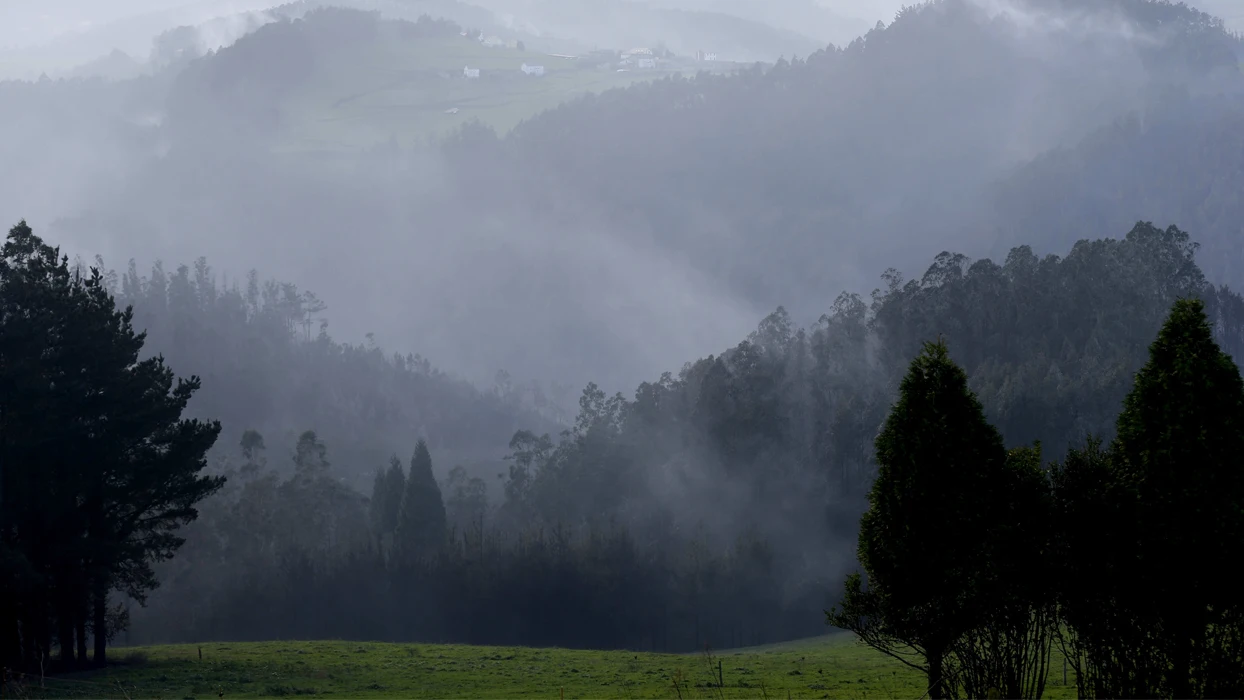 Incendio en Asturias