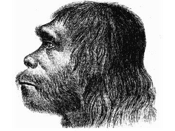 ¿Por qué los neandertales eran tan diferentes a nosotros?