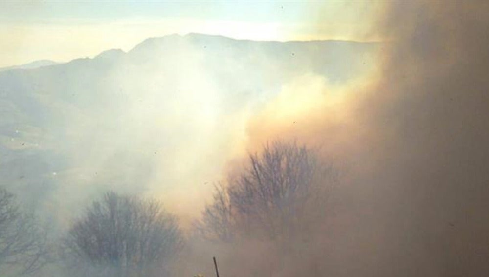 Incendio forestal en Arantza, Navarra