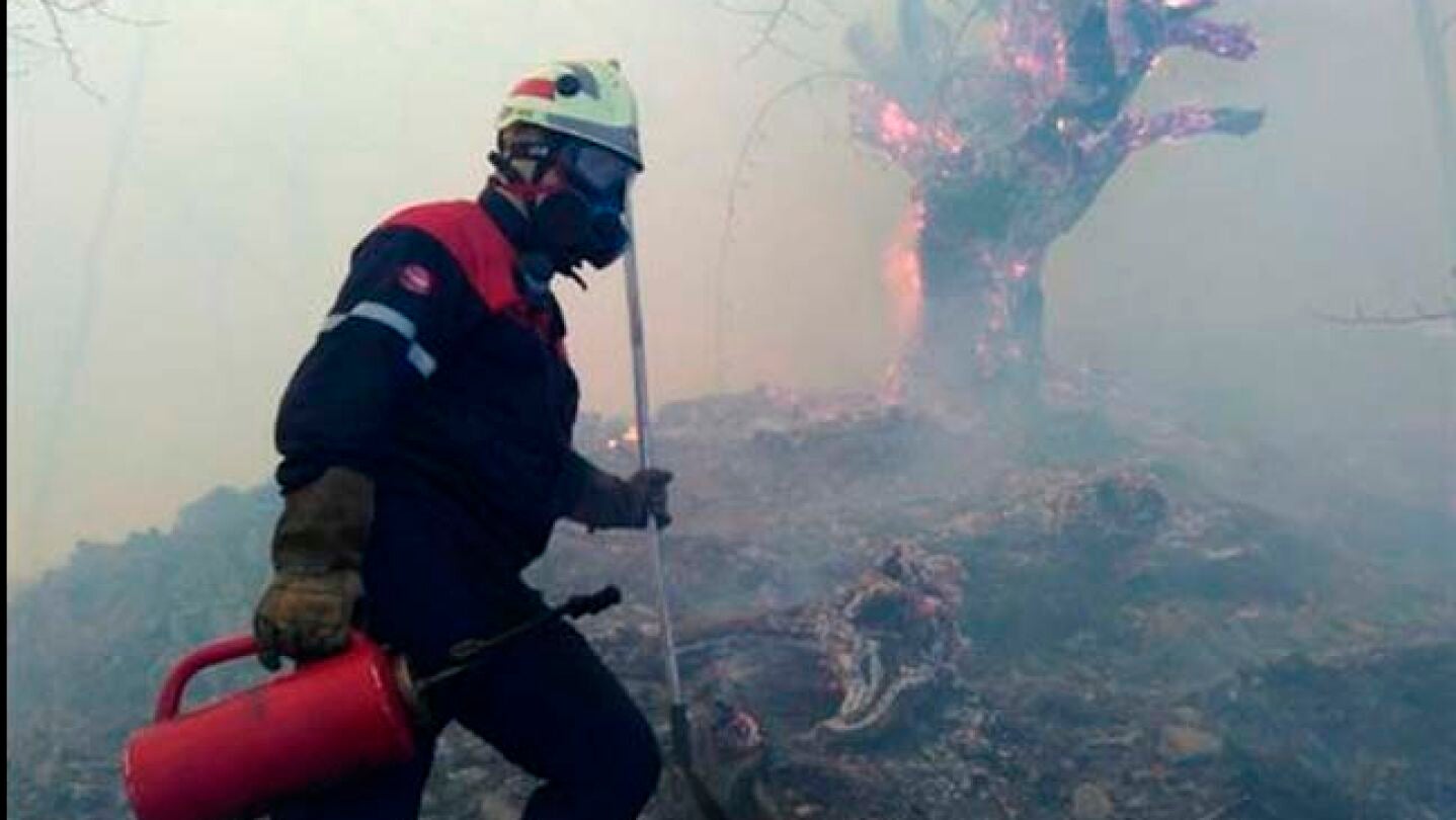 Los cambios en la direcci&oacute;n del viento dificultan el control del incendio declarado en Arantza