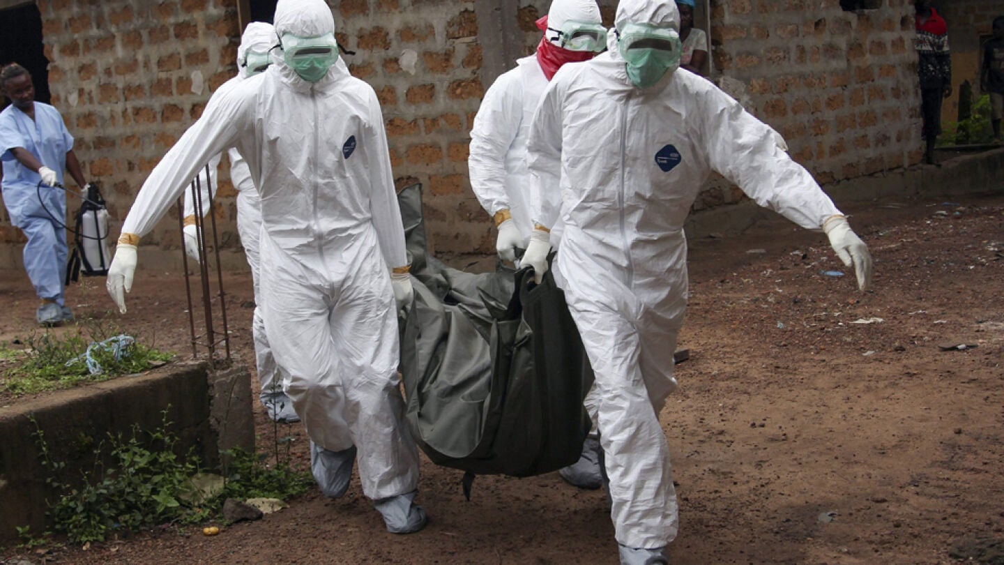 Sanitarios trabajando contra el &eacute;bola