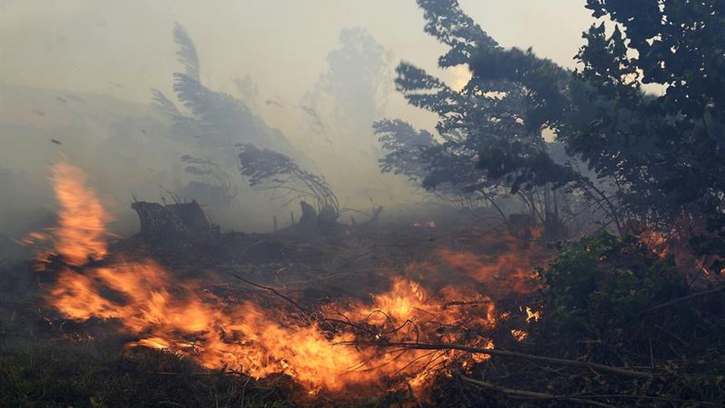 Incendio forestal en Cantabria