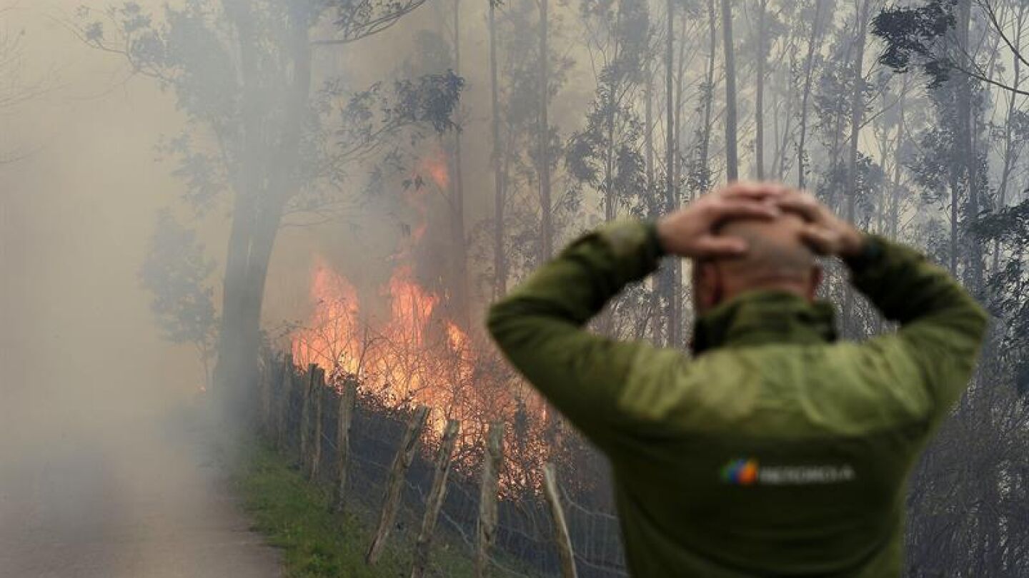 Una persona se lleva las manos a la cabeza mientras presencia un incendio en Cantabria