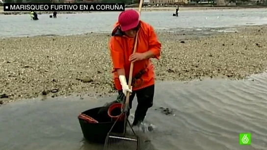Mariscadora Mariscadora