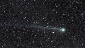 El cometa Lovejoy en su máximo esplendor 