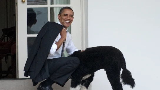 Obama con su perro Bo Obama con su perro Bo