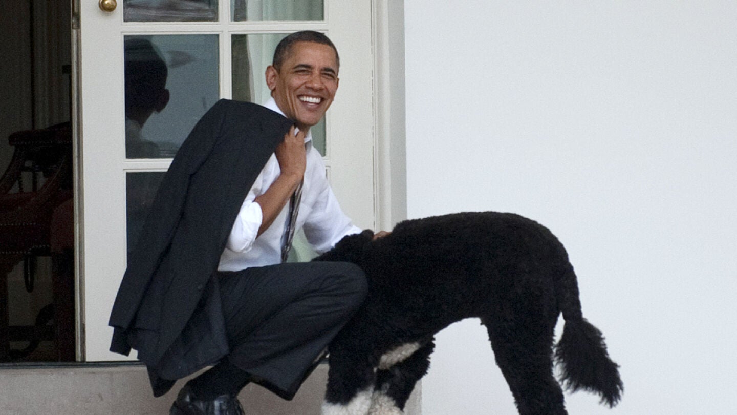 Obama con su perro Bo