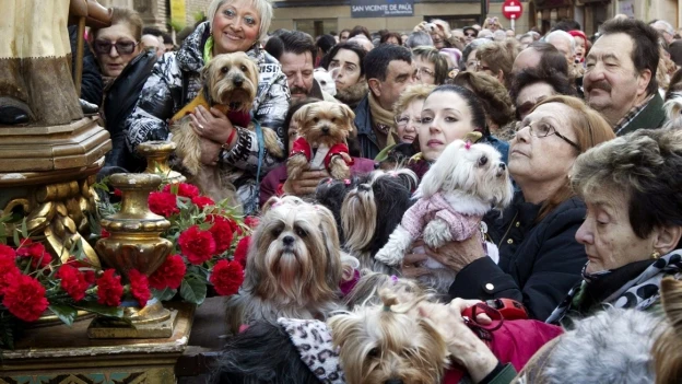 Decenas de animales en las fiestas de San Antón