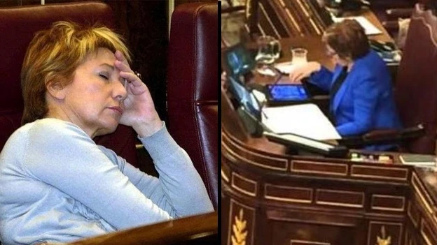 Celia Villalobos en el Congreso