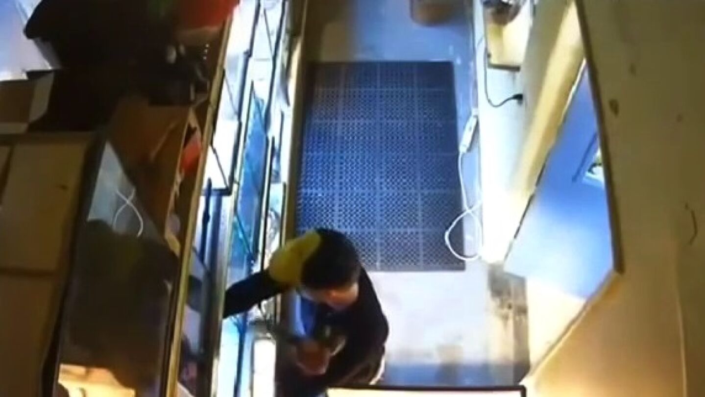 Un joven roba una serpiente
