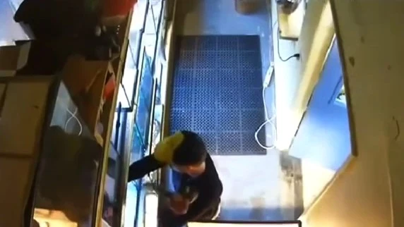 Un joven roba una serpiente Un joven roba una serpiente