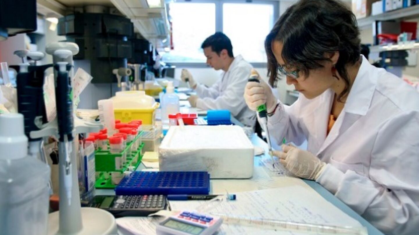 &iquest;Las leyes de la naturaleza podr&iacute;an predecir la evoluci&oacute;n del c&aacute;ncer?