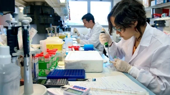 ¿Las leyes de la naturaleza podrían predecir la evolución del cáncer? ¿Las leyes de la naturaleza podrían predecir la evolución del cáncer?