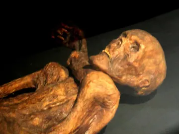 Reconstrucción plástica de su cuerpo Reconstrucción plástica de su cuerpo
