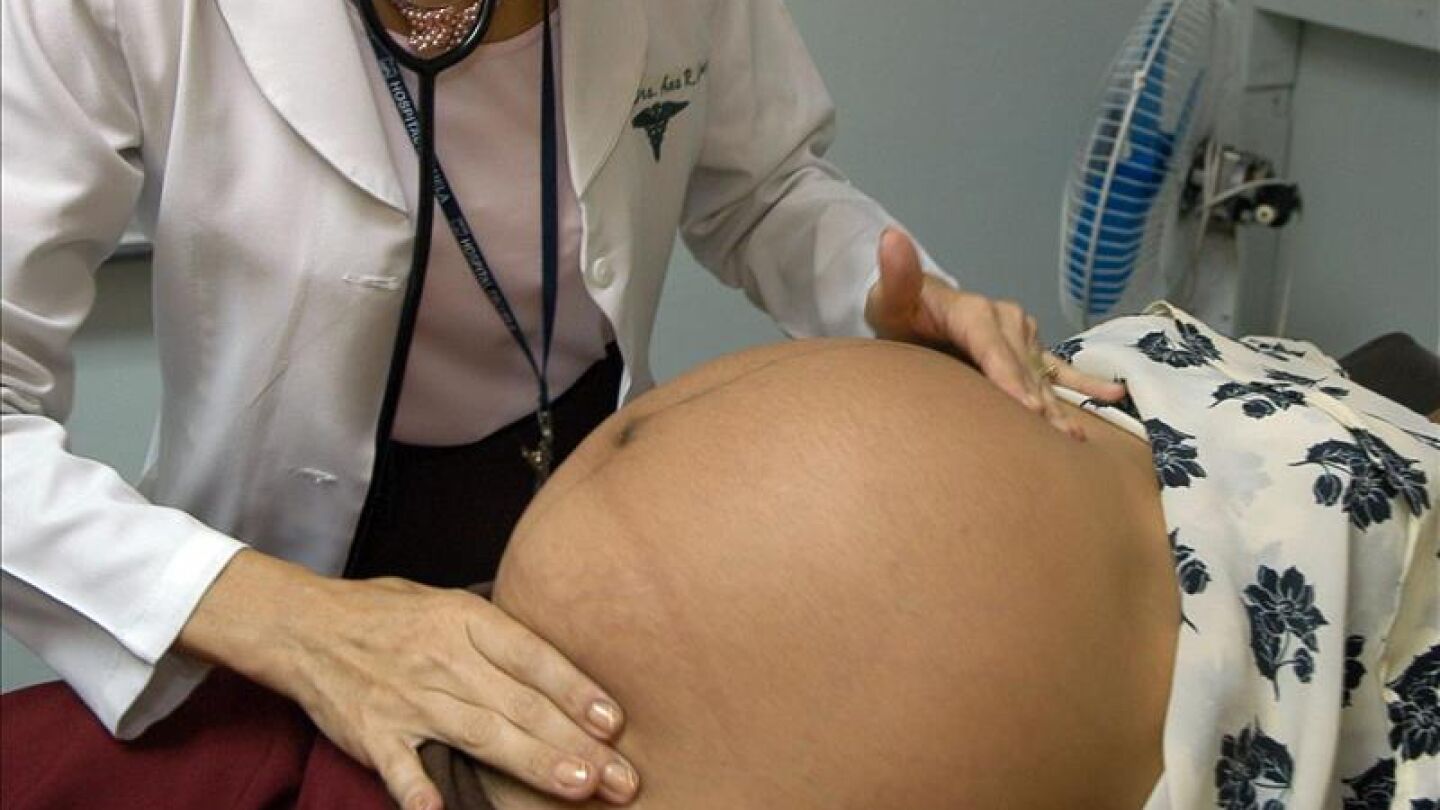 Alerta en Am&eacute;rica por la expansi&oacute;n del virus Zika