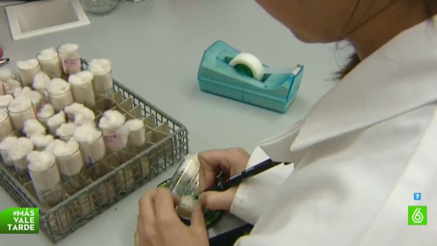 Ensayos cl&iacute;nicos en pacientes espa&ntilde;oles