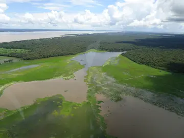 ¿Estará ahí el candirú? ¿Estará ahí el candirú?