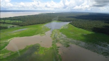 ¿Estará ahí el candirú?