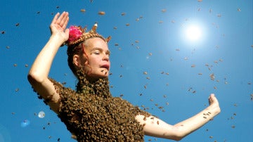 Sara Mapelli, la mujer que baila con 15.000 abejas en su cuerpo 