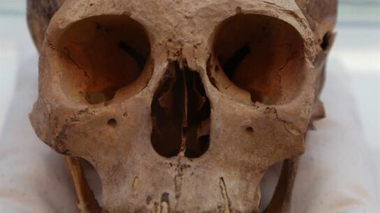 Fotograf&iacute;a cedida del cr&aacute;neo de una mujer, de unos 30 a 35 a&ntilde;os y de una estatura no mayor al metro y medio