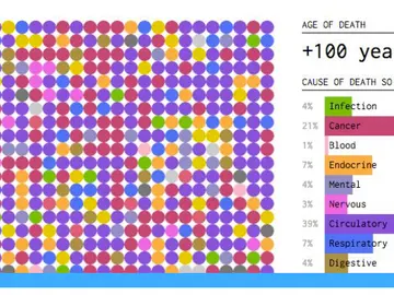 Simulador de edad y causa de la muerte Simulador de edad y causa de la muerte