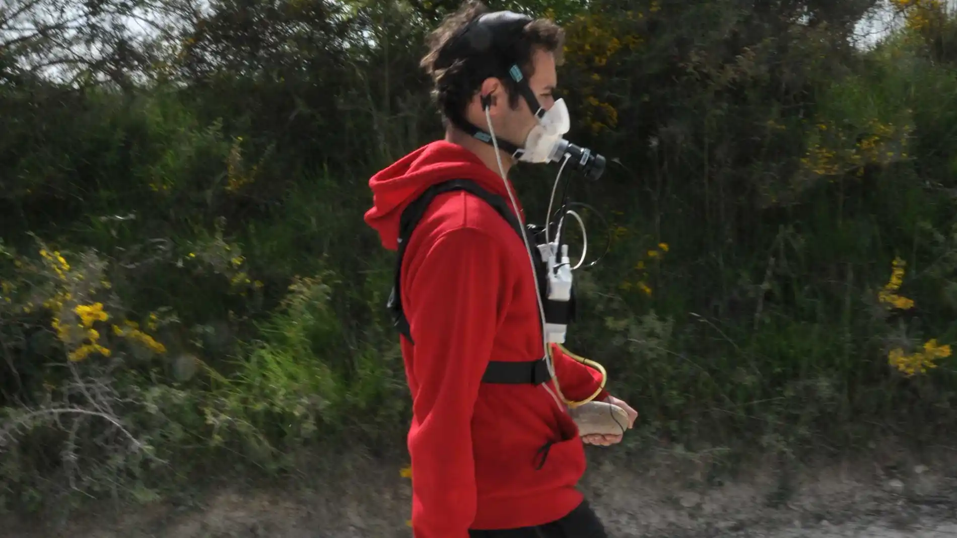 Bioenergía/Jesús Rodríguez