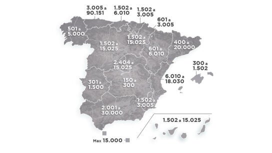 Mapa de las sanciones por abandono animal en Espa&ntilde;a