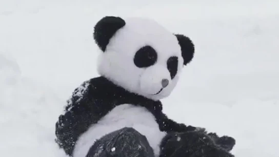 Un hombre disfrazado de panda Un hombre disfrazado de panda