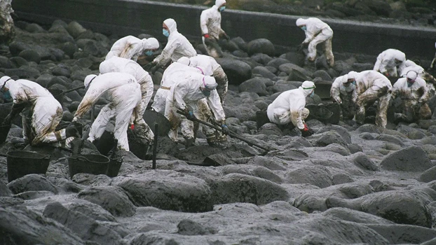 Voluntarios limpiando fuel del Prestige