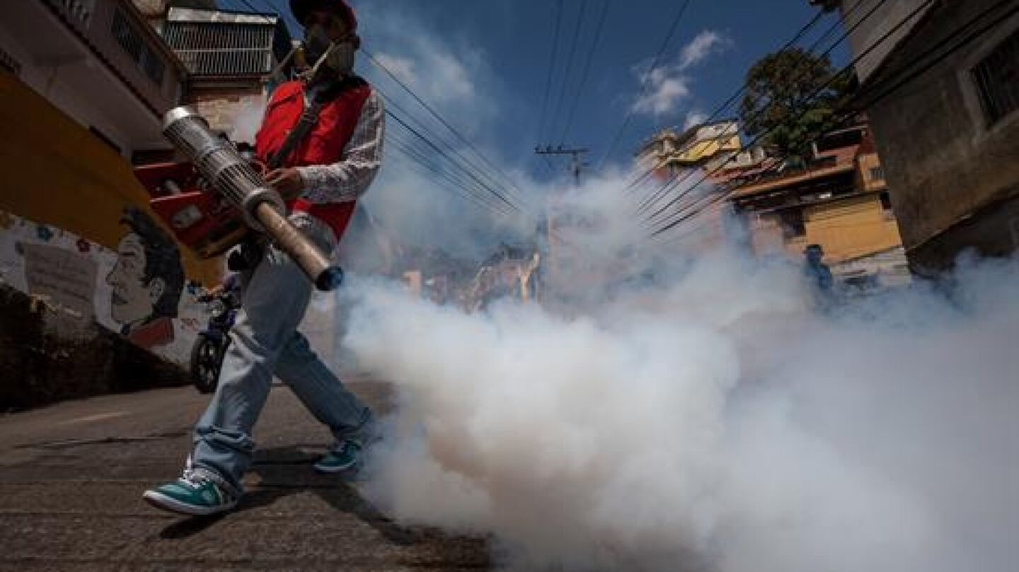 La OMS alerta por el virus Zika
