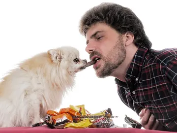 ¿Seguro de compartir el chocolate con tu mascota? ¿Seguro de compartir el chocolate con tu mascota?