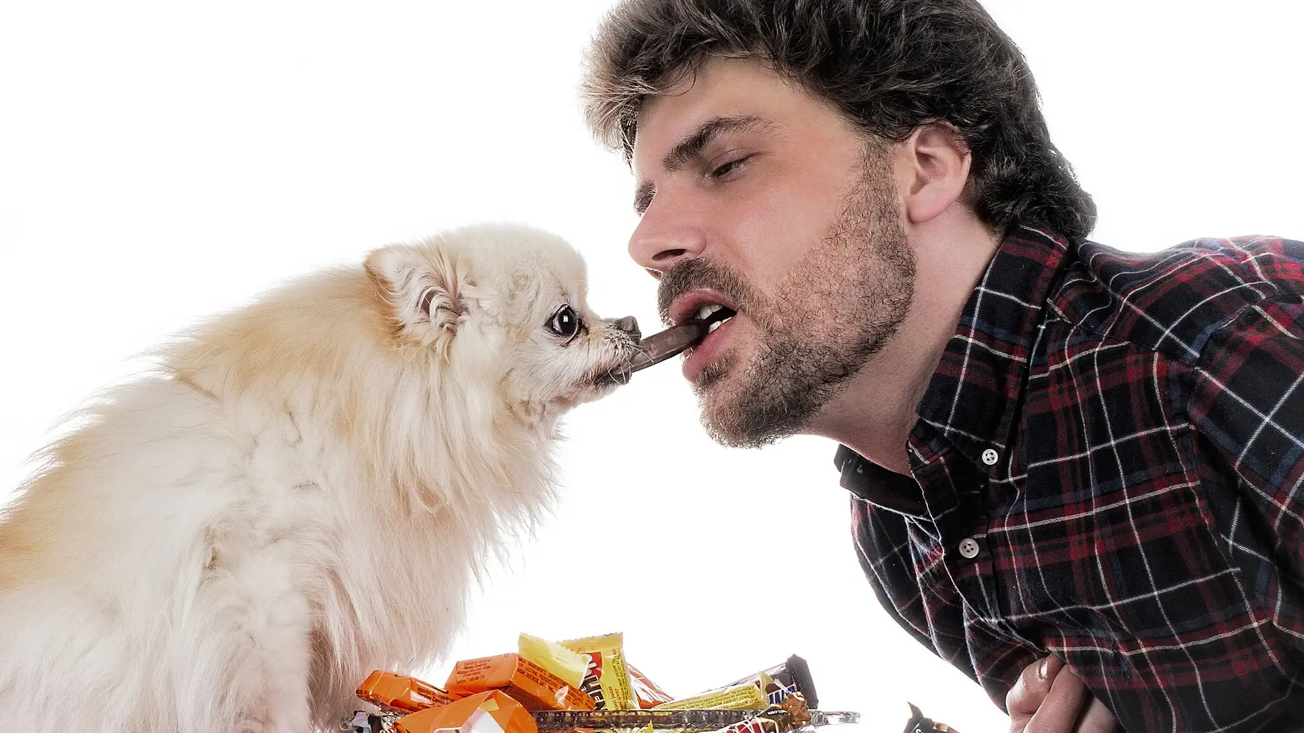 ¿Seguro de compartir el chocolate con tu mascota?