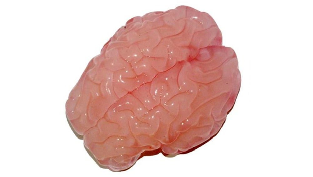 Imagen de la replica del cerebro en 3D