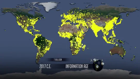 00788 00788