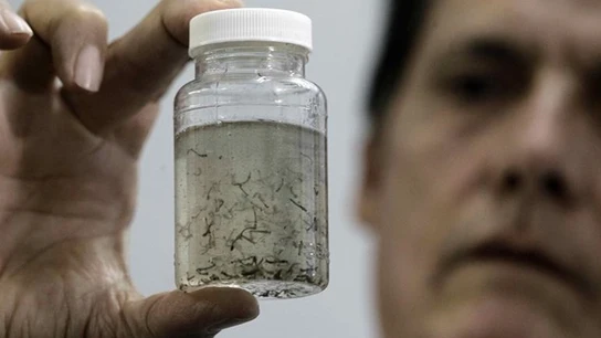 Análisis del virus Zika Análisis del virus Zika