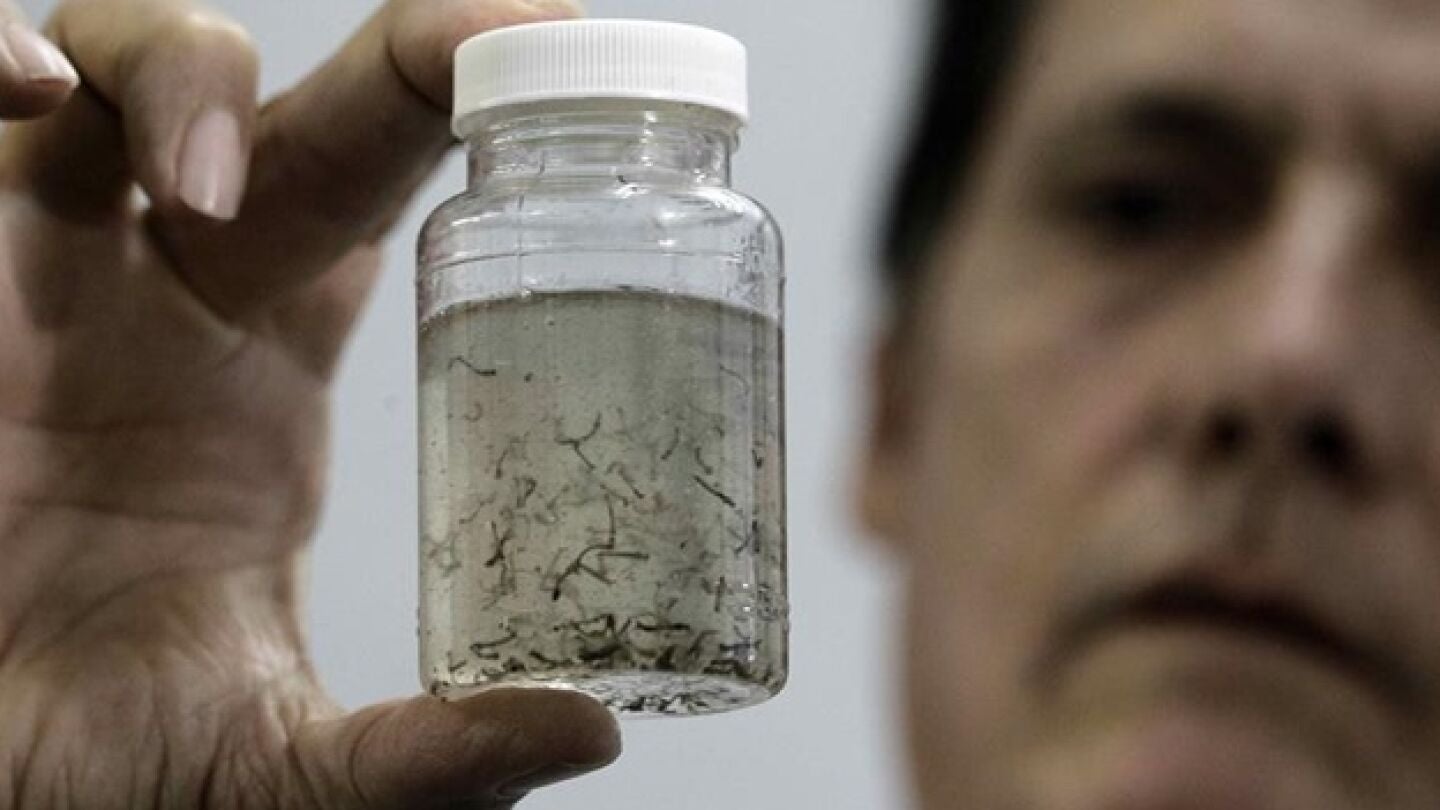 An&aacute;lisis del virus Zika