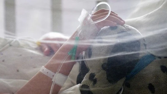 Persona infectada con el virus Zika Persona infectada con el virus Zika