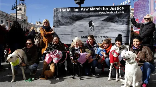 Cientos de personas y sus galgos se concentran en la Puerta del Sol para pedir el fin de caza perros Cientos de personas y sus galgos se concentran en la Puerta del Sol para pedir el fin de caza perros