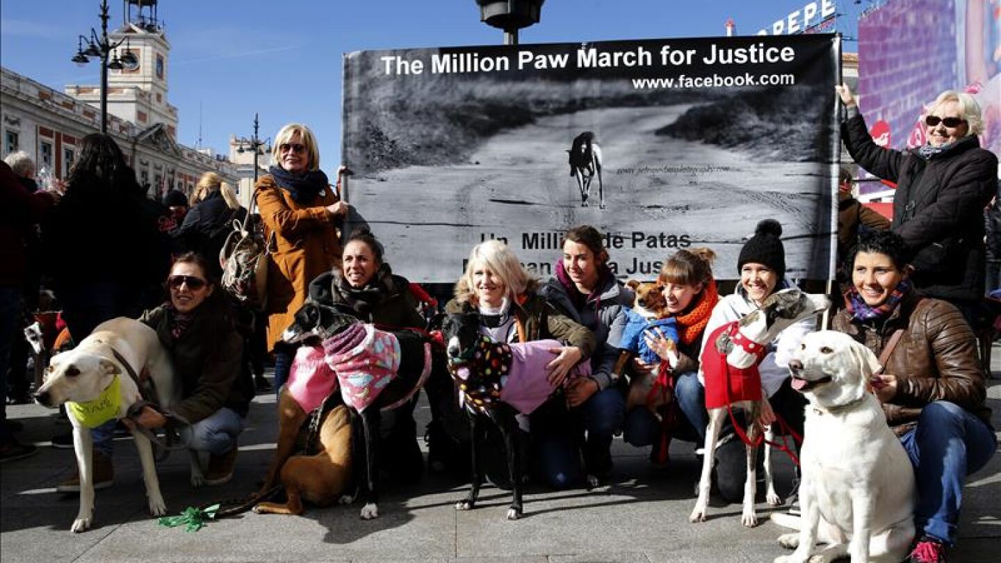 Cientos de personas y sus galgos se concentran en la Puerta del Sol para pedir el fin de caza perros