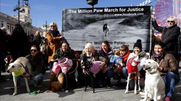 Cientos de personas y sus galgos se concentran en la Puerta del Sol para pedir el fin de caza perros