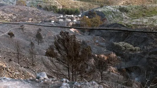 Restos del incendio de Lanjarón Restos del incendio de Lanjarón