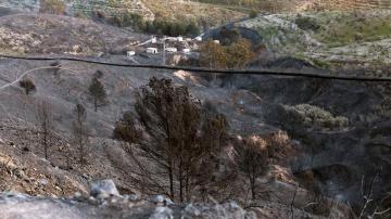 Restos del incendio de Lanjarón